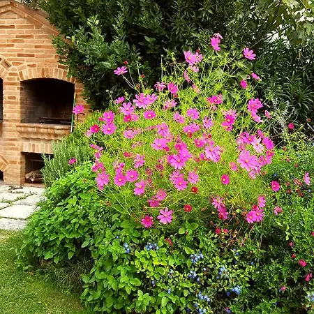 Podere Cunina Buonconvento