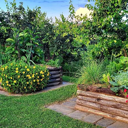 Podere Cunina Farm stay Buonconvento