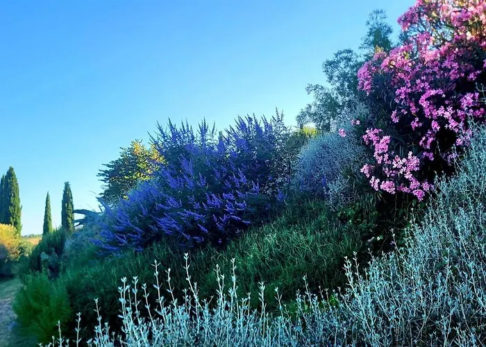 Podere Cunina Farma *