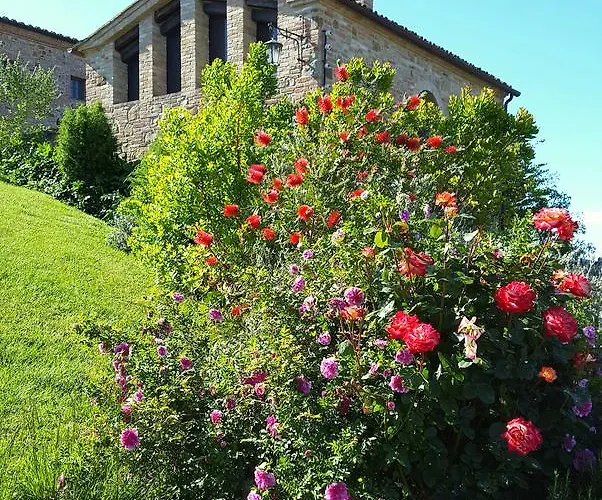 Farma Podere Cunina Buonconvento